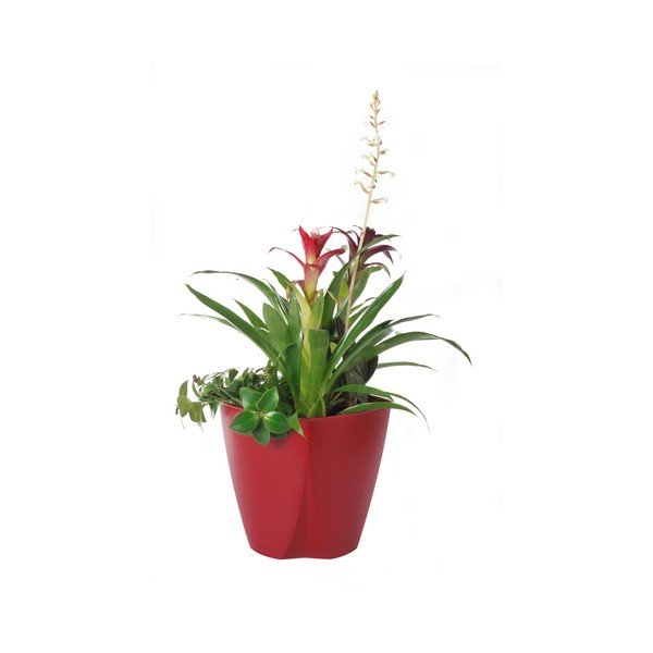 Červený květináč Plastia Camay, ø 18,5 cm-image-1