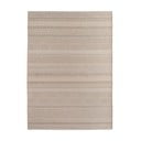 Béžový vnitřní a venkovní koberec 200x290 cm Desert 1303 – Ayyildiz Carpets