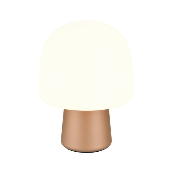 Stolní lampa v bílo-bronzové barvě se skleněným stínidlem (výška 27 cm) Steen – Trio-image-1