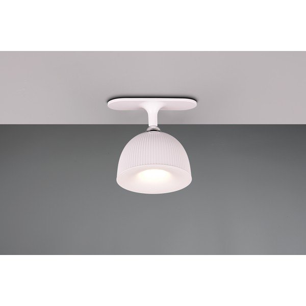 Stmívatelná bílá LED stolní lampa s klipem (výška 41 cm) Maxima – Trio-image-2