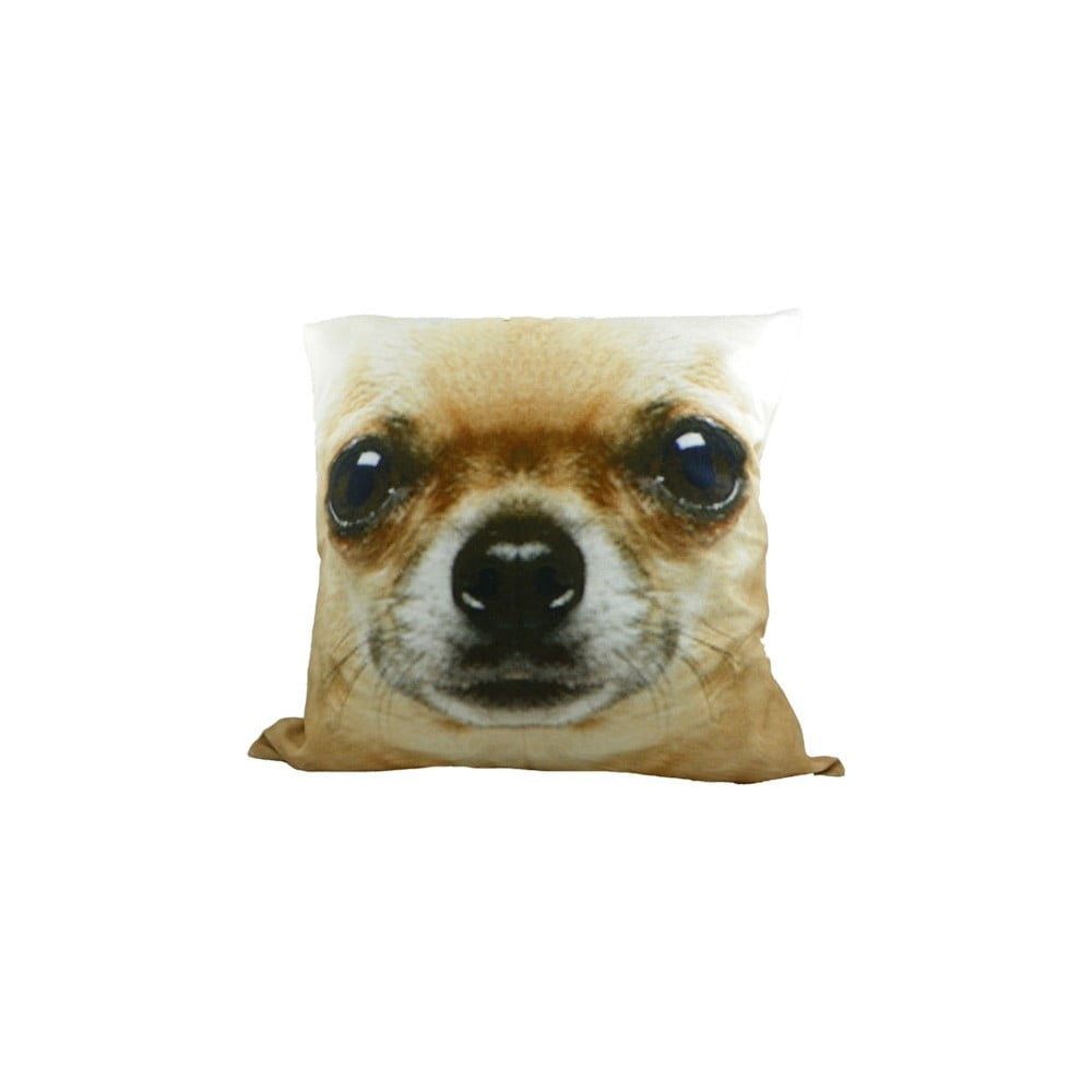 Polštář Chihuahua Blond, 50x50 cm