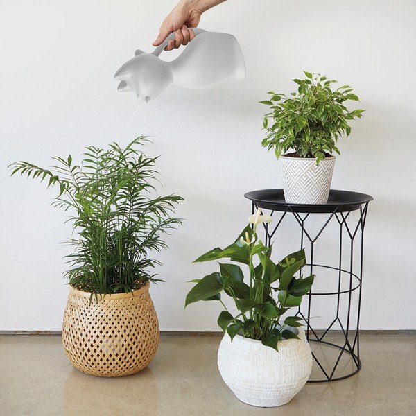 Plastová konvička na zalévání 2 l Meow – Balvi-image-1