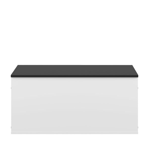 Bílo-černá truhla 89x43 cm Knight – TemaHome