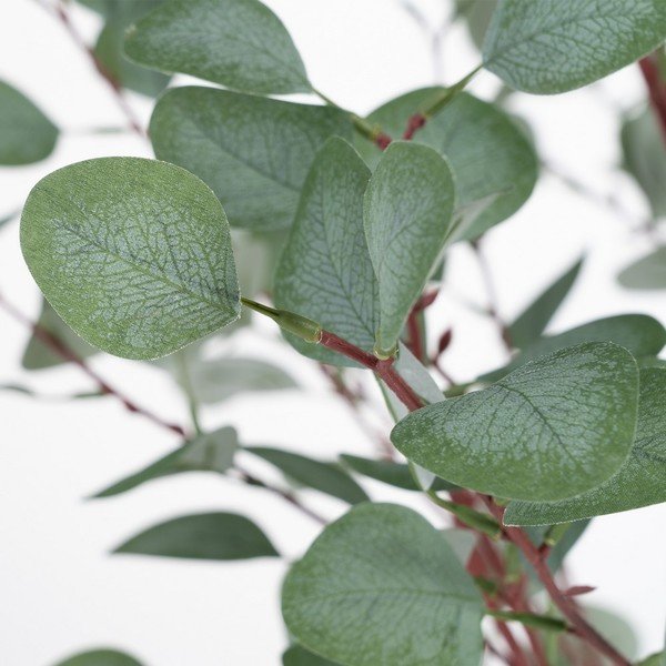 Umělý eukalyptus (výška 180 cm) Eucalyptus – Ixia-image-1