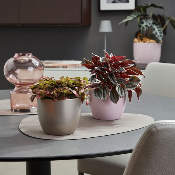 Keramický květináč ø 19 cm Basel Elegance - Big pots-image-1