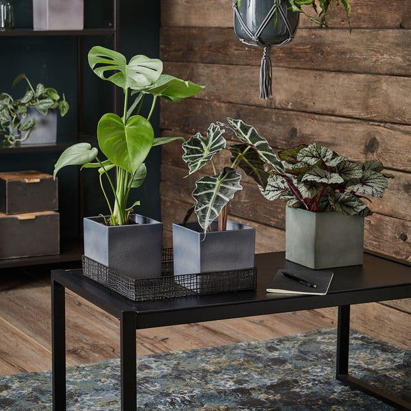 Fialový keramický květináč Big pots Latina, 15 x 15 cm-image-1