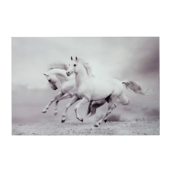 Skleněný obraz Two Horses, 80x120 cm