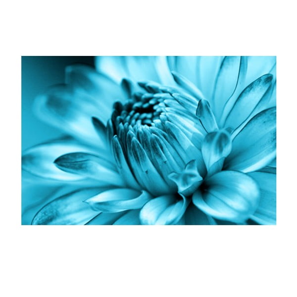 Obraz na skle Modrá květina, 40x60 cm