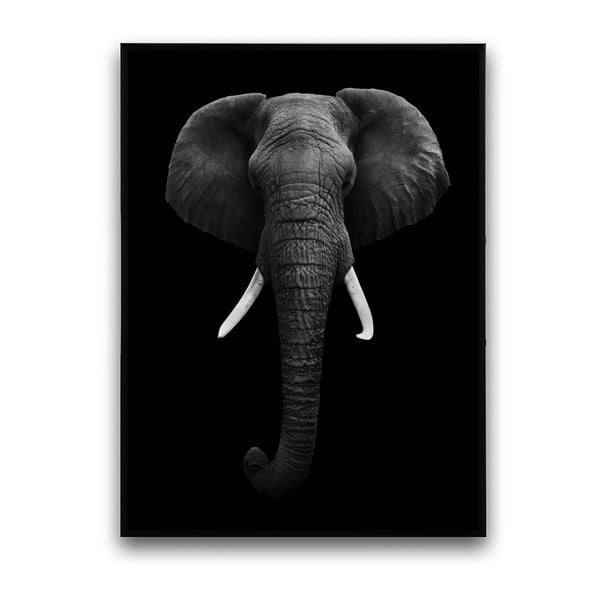 Plakát v dřevěném rámu Slon