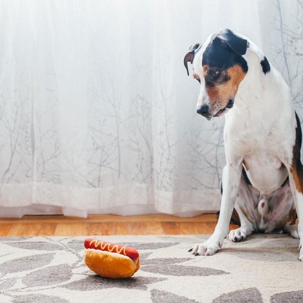 Hračka pro psa Hot Dog – P.L.A.Y.-image-1