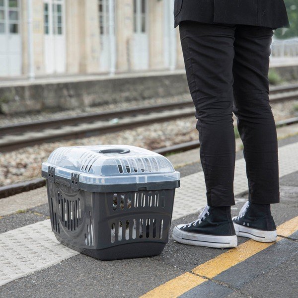 Přepravka pro domácího mazlíčka 33x49 cm – Love Story-image-1