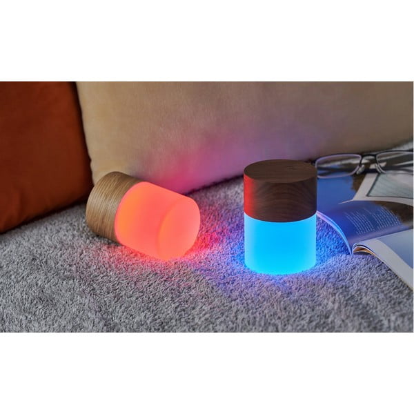 Tmavě hnědá stmívatelná stolní lampa se skleněným stínidlem (výška 10,5 cm) Lemelia – Gingko-image-4