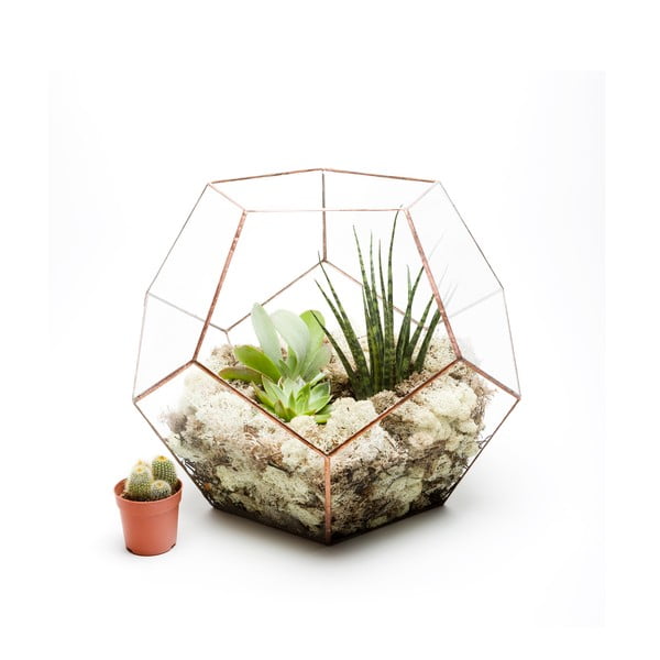 Terárium s rostlinami Urban Botanist Supersize Penta, světlý rám