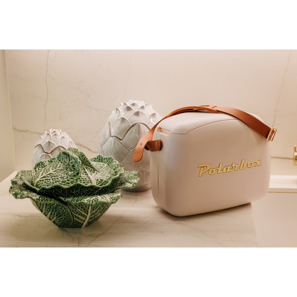 Tmavě zelený chladicí box 6 l Classic Black – Polarbox-image-1