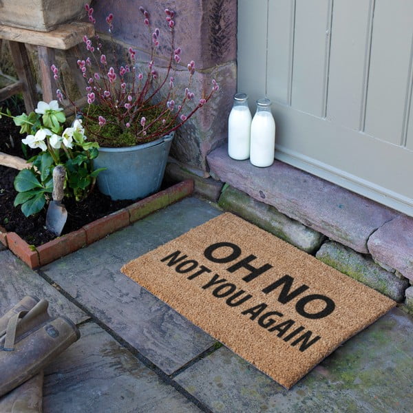 Rohožka z kokosového vlákna 40x60 cm Not You Again – Artsy Doormats-image-3