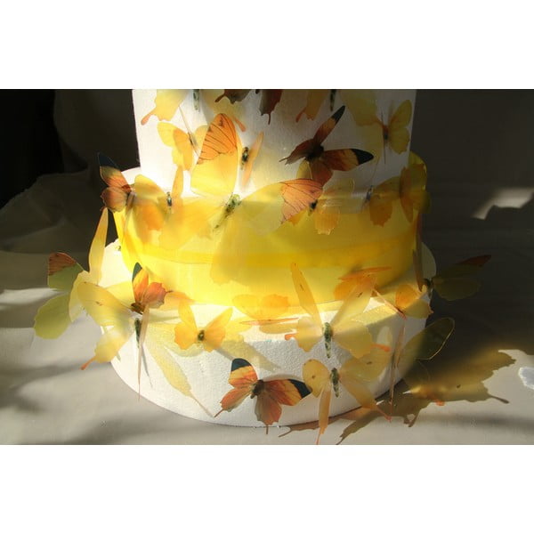 Sada 18 adhezivních 3D samolepek Ambiance Butterflies Yellow-image-3