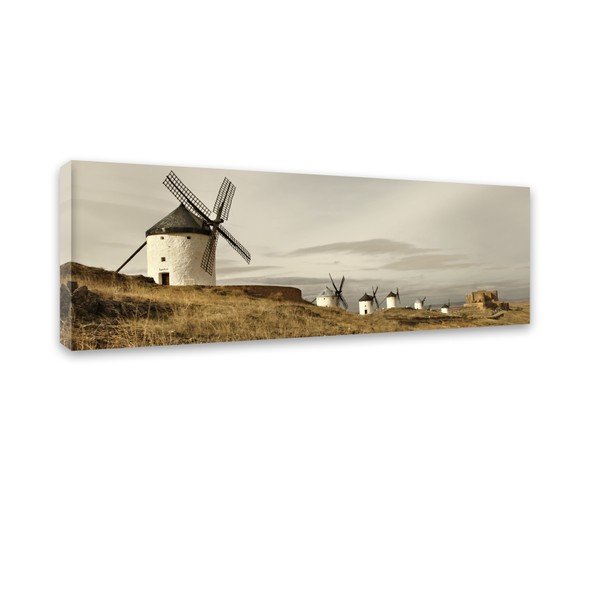 Obraz Styler Canvas Harmony Field, 45 x 140 cm