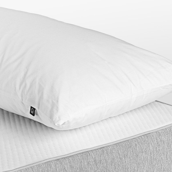 Bílá výplň do polštáře Kave Home Nyla, 80 x 40 cm-image-1