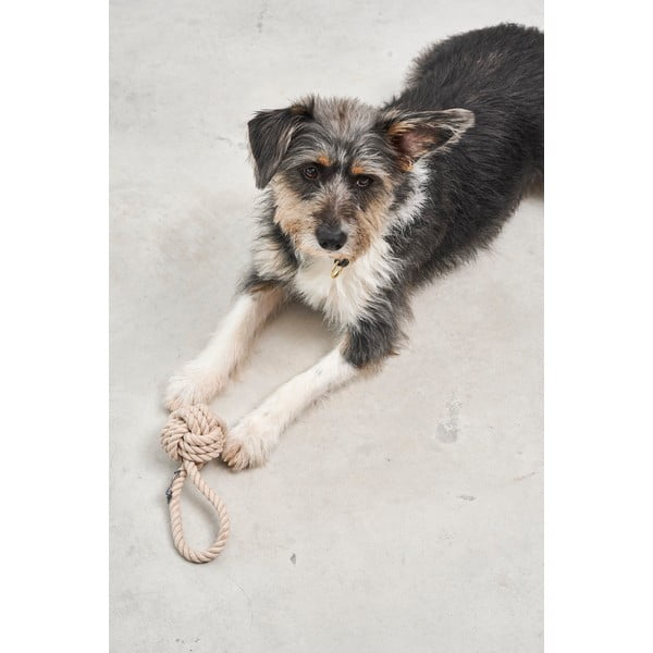 Hračka pro psa Nodo Greige – MiaCara-image-2