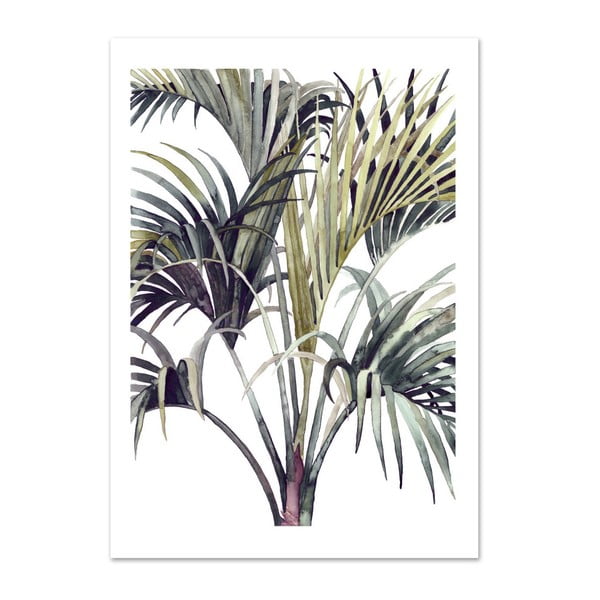 Plakát Leo La Douce Wild Palm, 21 x 29,7 cm