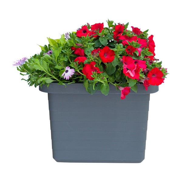 Antracitově šedý velkoobjemový samozavlažovací truhlík, délka 45 cm Berberis Uno - Plastia