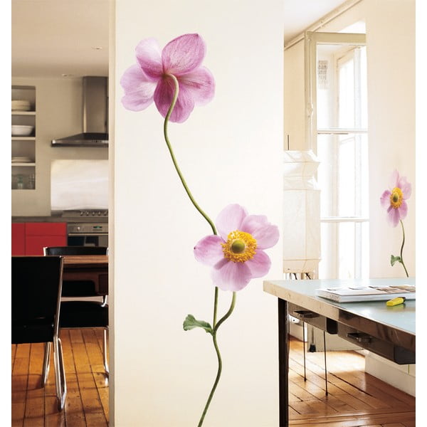 Anemones-image-1