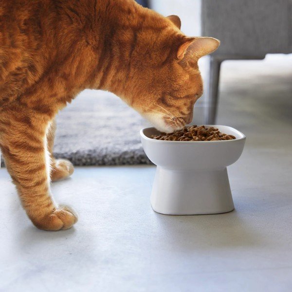 Keramická miska pro domácího mazlíčka Tower – YAMAZAKI-image-1