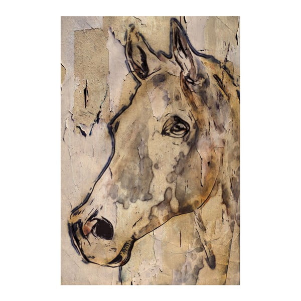 Obraz Marmont Hill Winner Horse, 45 x 30 cm