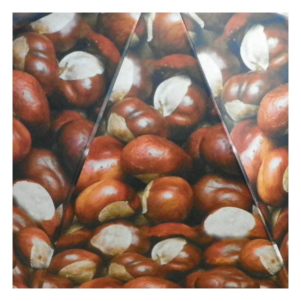 Deštník Chestnust All Over-image-3