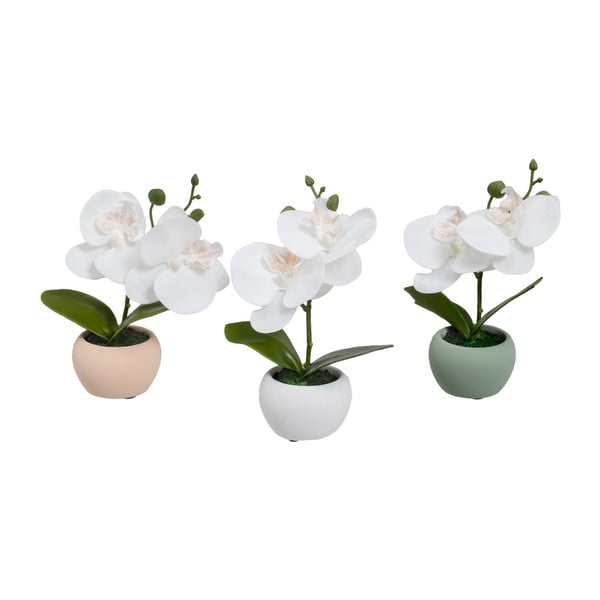 Umělé rostliny v sadě 3 ks (výška 15 cm) Orchid – Casa Selección