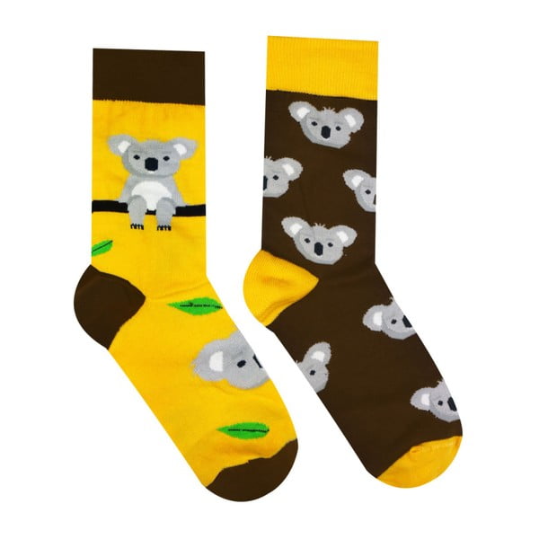 Bavlněné ponožky HestySocks Koala, vel. 35-38