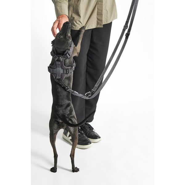 Zelené přepínací vodítko délka 200 cm Modena Grolive 25 mm – MiaCara-image-3