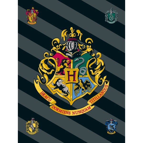 Fleecová dětská deka 100x150 cm Harry Potter – Jerry Fabrics