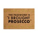 Rohožka z kokosového vlákna 40x60 cm Prosecco – Premier Housewares