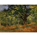 Reprodukce obrazu Claude Monet - The Bodmer Oak, Fontainebleau Forest, 70 x 50 cm