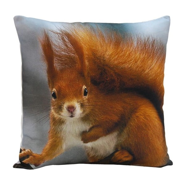 Polštář Squirrel Ginger, 45x45 cm