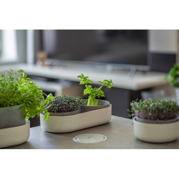 Plastová klíčicí miska Microgreens + Regrow – Plastia-image-2