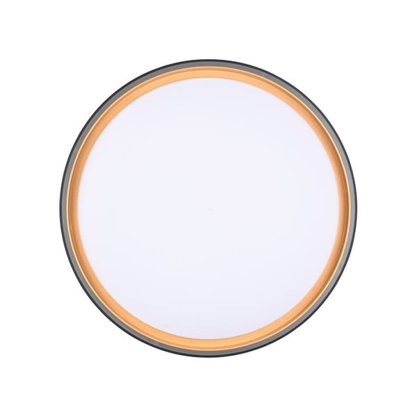 Černé LED stropní svítidlo ø 40 cm Felis – Reality-image-4