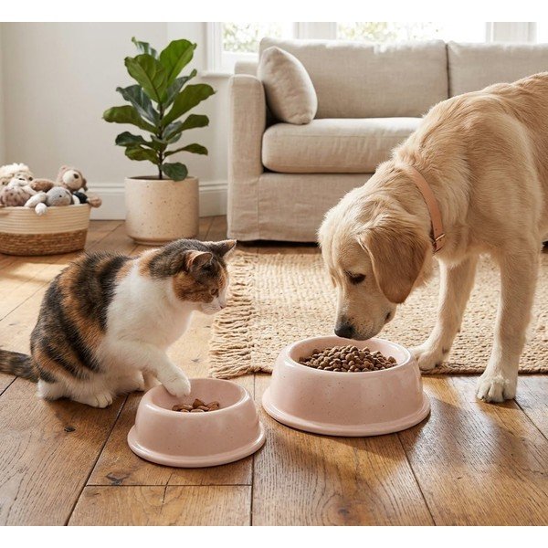 Kameninová miska pro domácího mazlíčka ø 21 cm – Casafina-image-1