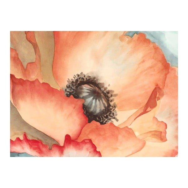 Obraz DecoMalta Zoom Poppies, 65 x 50 cm