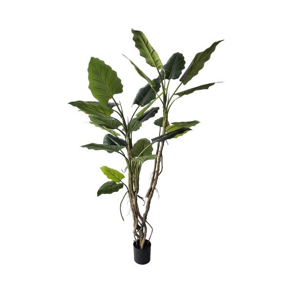 Umělá květina (výška 190 cm) Alocasia – Bizzotto