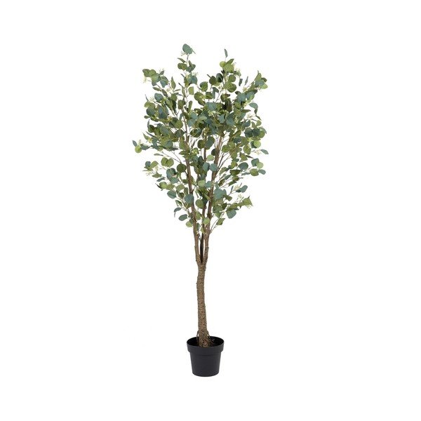 Umělý eukalyptus (výška 173 cm) Eucalyptus – Ixia