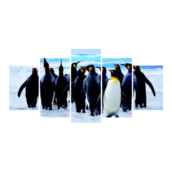 Vícedílný obraz La Maison Des Couleurs Penguins