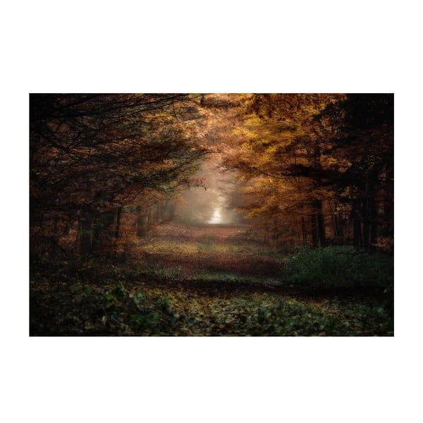 Obraz Podzim, 60x80 cm