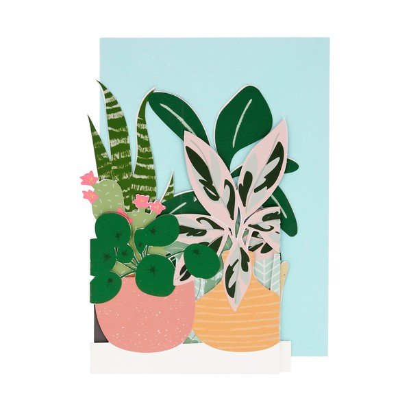 Přání Potted Plant – Meri Meri-image-1