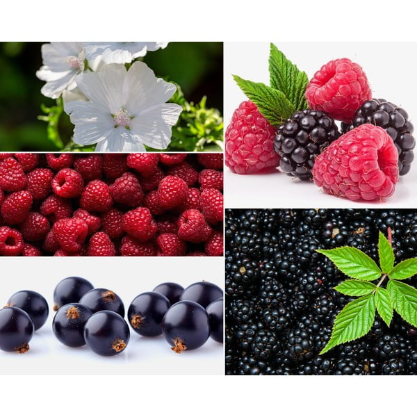 Vonná sojová svíčka doba hoření 35 h Mûre-Musc – Privé Home-image-2