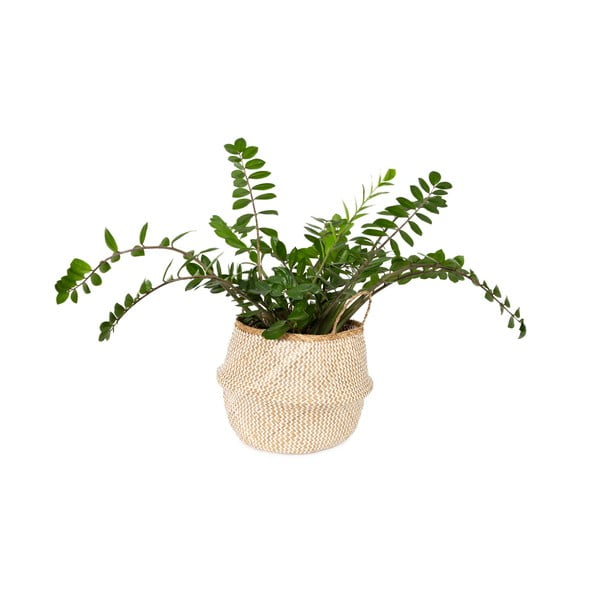 Světlý úložný košík z mořské trávy Compactor Zic Zac, ⌀ 45 cm-image-1