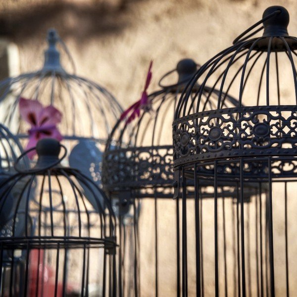 Skleněný obraz 3D Art Cages, 50 x 50 cm