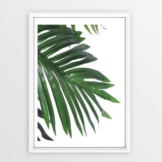 Plakát v rámu Piacenza Art Palm, 30 x 20 cm