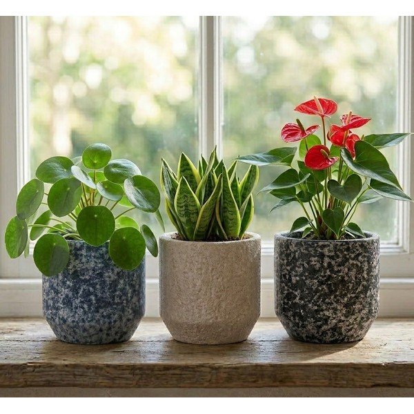 Keramický ručně vyrobený obal na květináč ø 14 cm Almada – Ego Dekor-image-1